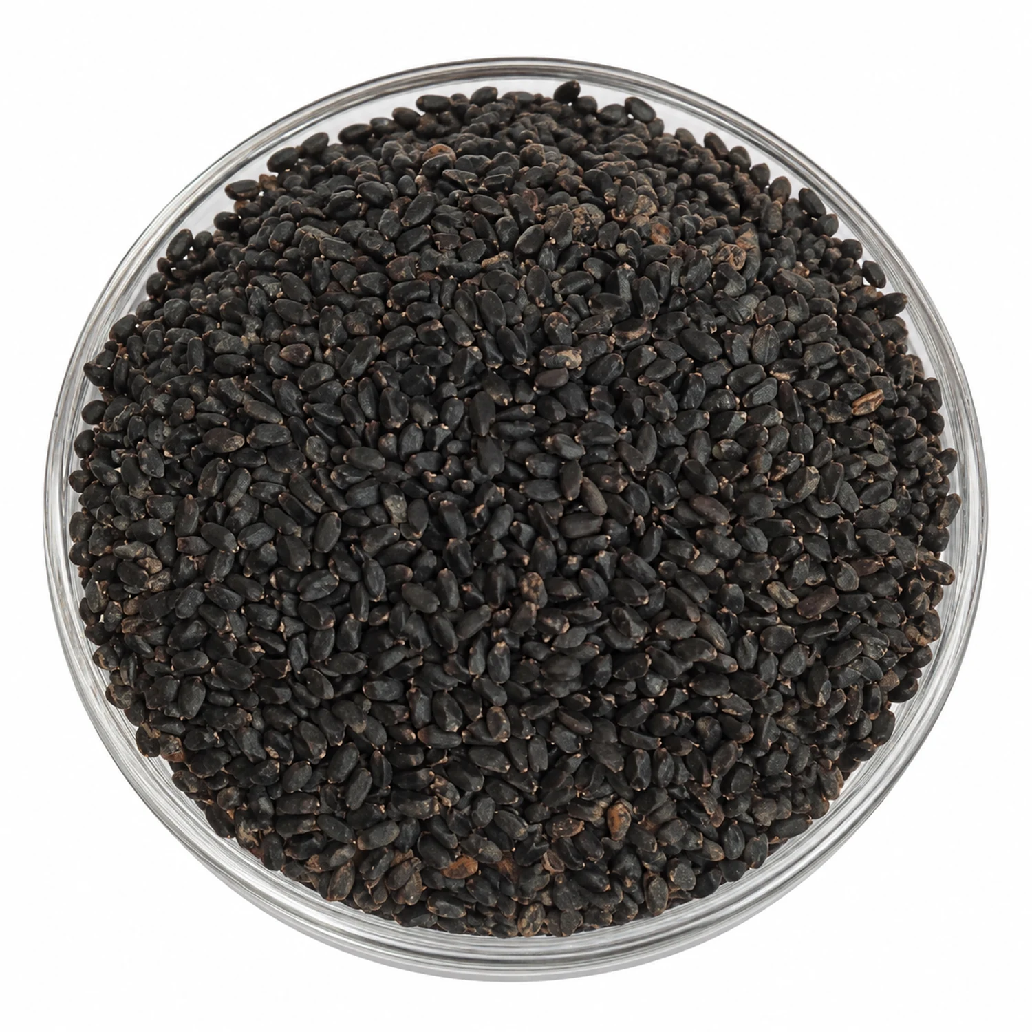 Kashmiri Basil Seeds (Mountain Sweet Basil Seeds - Koshur Babribeol) - Photo 2