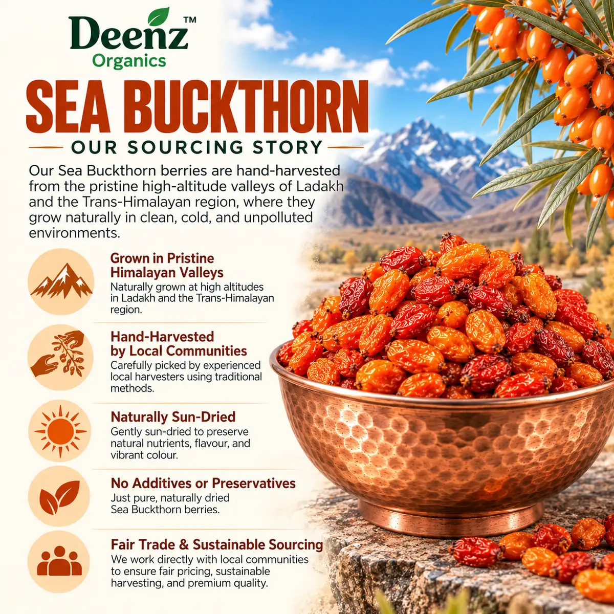 Himalayan Sea Buckthorn Berries (Sun-Dried Whole Berries) - Photo 3