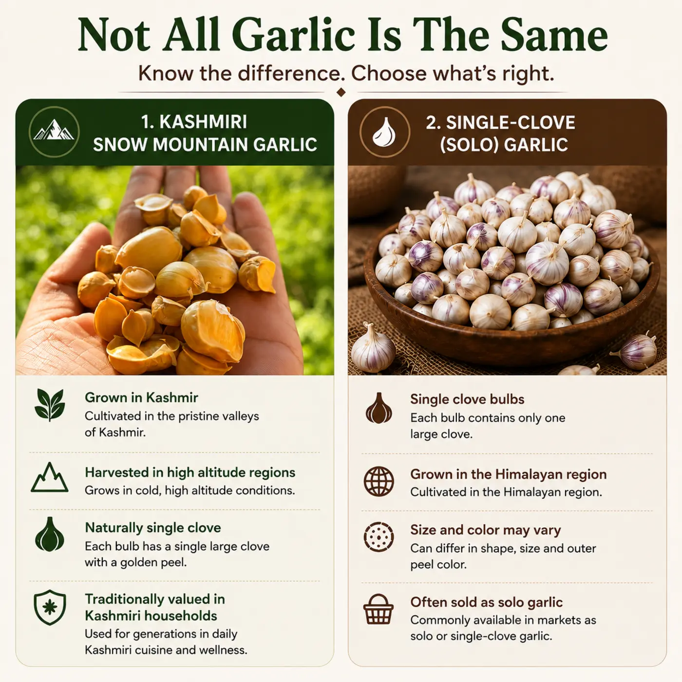 Himalayan Solo Garlic (Ek Kali Lahsun) – Whole Single Clove - Photo 2