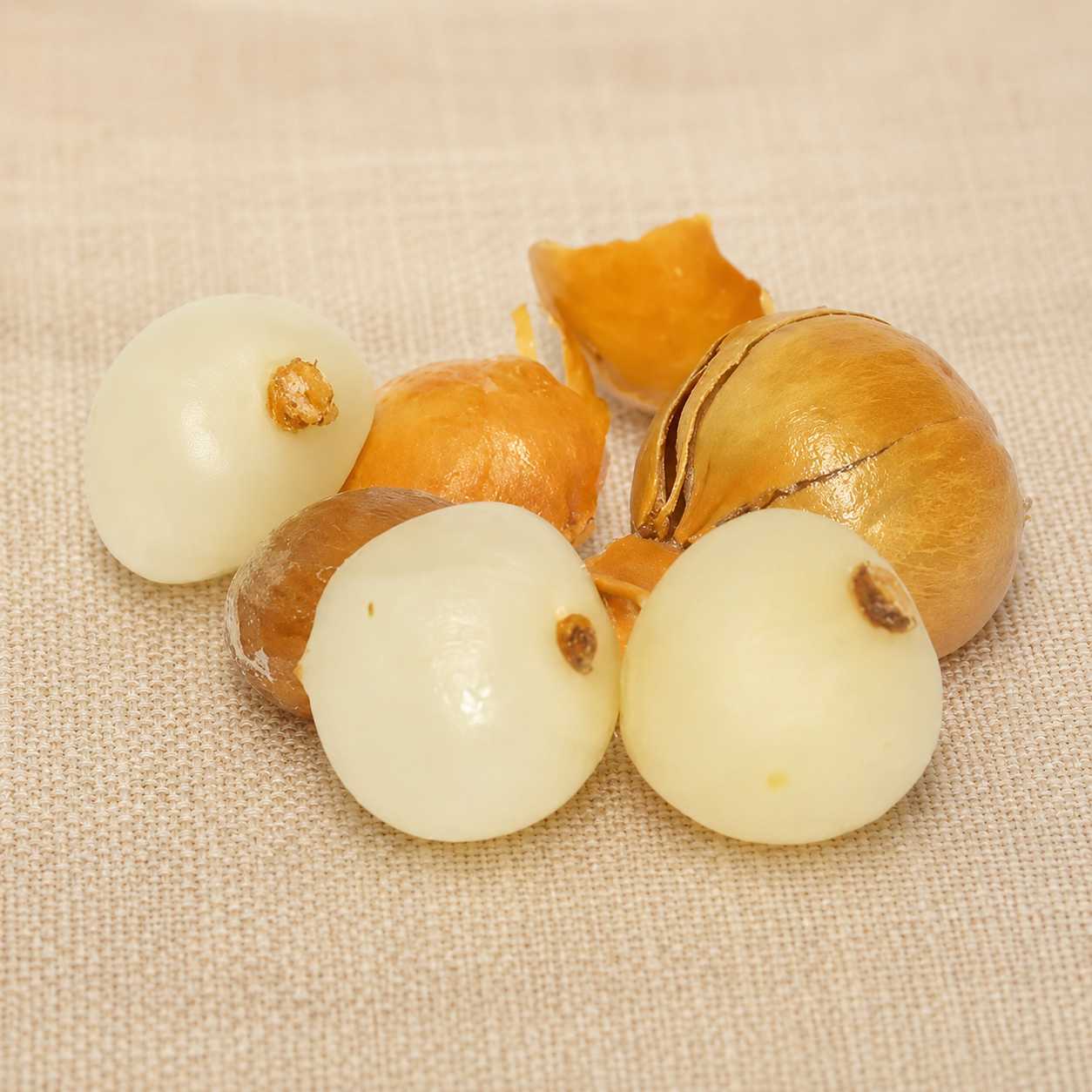 Clove Inside Hard Shell