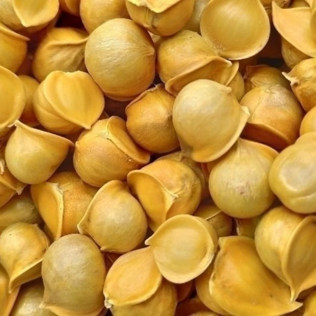 Kashmiri Lahsun Benefits – What Research Actually Says — close-up view of fresh Kashmiri harvest