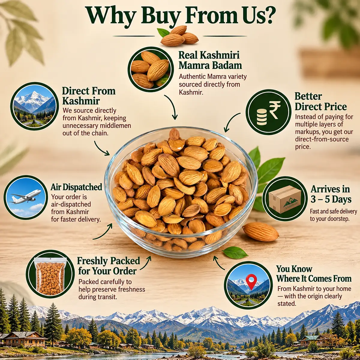 Kashmiri Mamra Badam (Premium Wild Almonds Real Mamra From Kashmir) - Photo 5